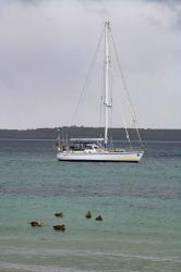 Vingilot at anchor: Vingilot at anchor in Sandy Bay, Enderby Island